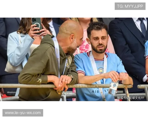 贝尔纳多再登欧冠之巅 成就蓝月中场传奇