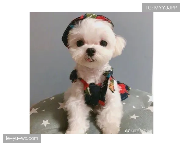 马尔基斯·基多退役转型开启人生新篇章