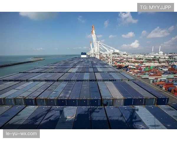 法马数据分析揭示市场新动向，足球领域或将迎来趋势性变革